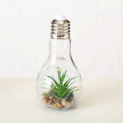 Dekorpære Med Grønn Plante & Ledlys