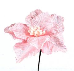 Rosa Julestjerne 