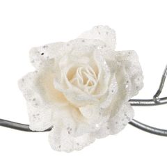 Hvit Rose 