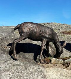 Fin Rådyrkalv I Bronse