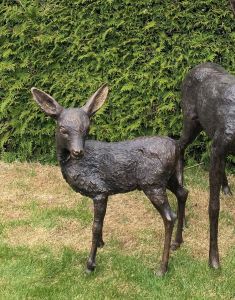 Flott Rådyrkalv I Bronse